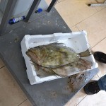 18_pesce_fresco_pescheria