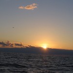 1_pesca_isola_d'elba (18)