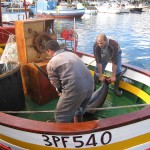 1_pesca_isola_d'elba (28)