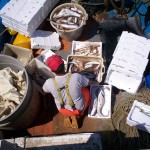1_pesca_isola_d'elba (37)